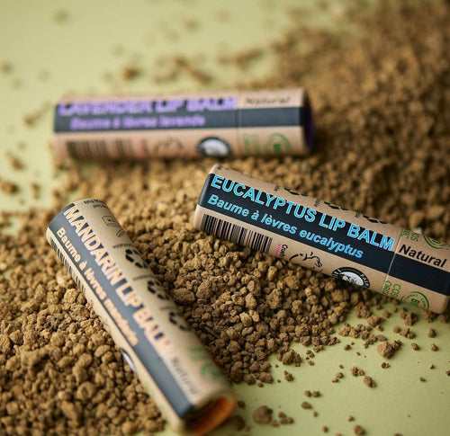 Organic Eucalyptus Lip Balm 15ml
