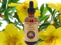 Evening Primrose Oil (Organic, cold pressed, unrefined)